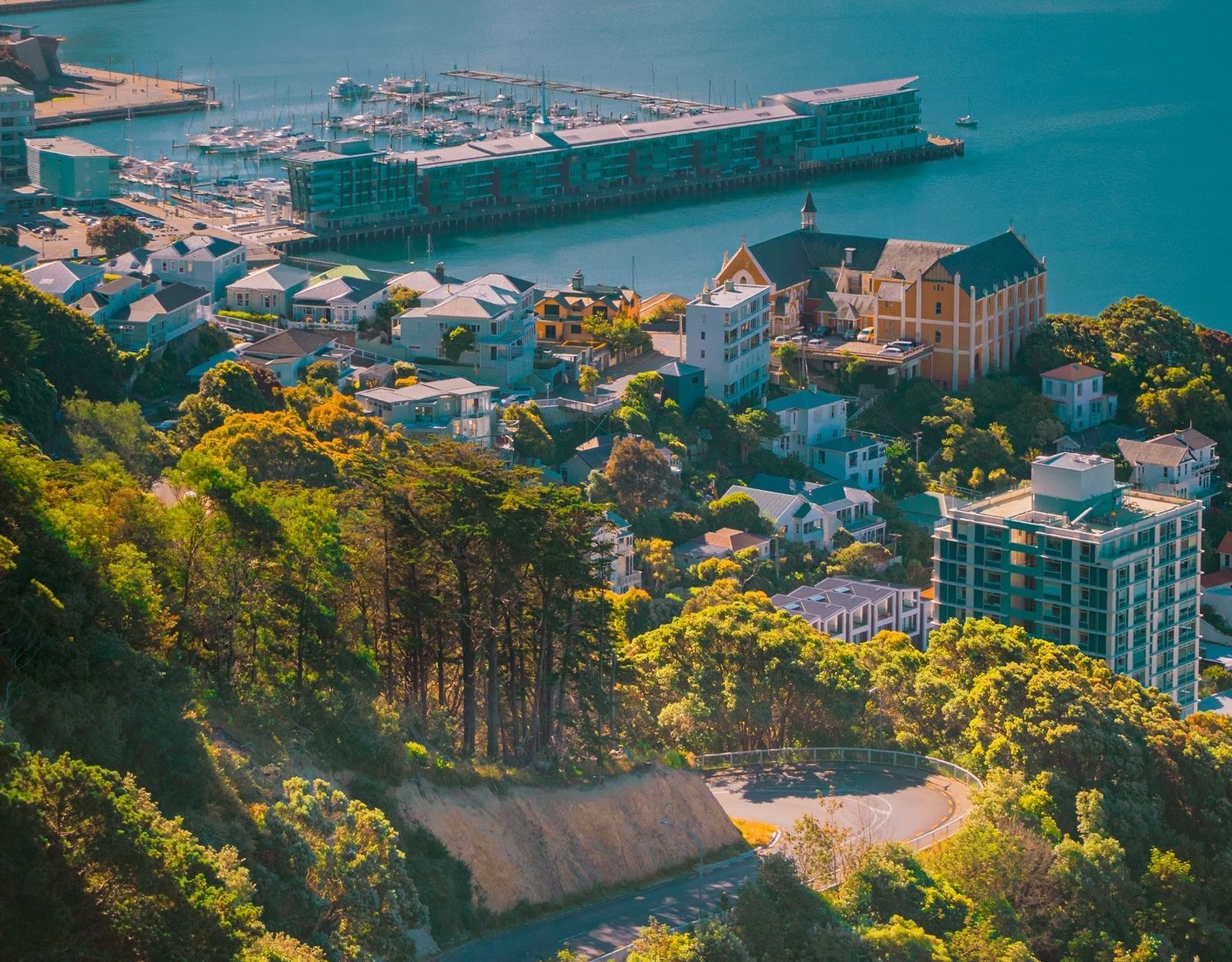Wellington, New Zealand harbour and city